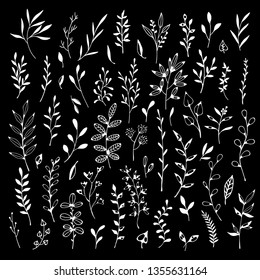 White flowers, leaves, branches set. Hand drawn isolated on black background. Botanical design elements