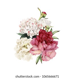 White flowers and leaves. Vector illustration