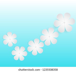 White flowers are lined up correctly.
