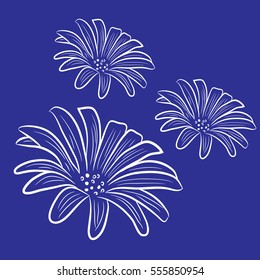 White flowers on a blue background. Vector illustration
