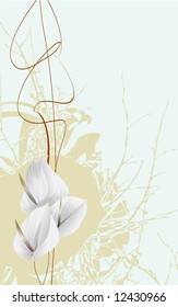 White flowers on a fragmentary background
