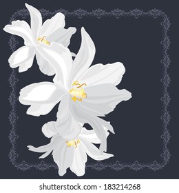 White flowers on the ornamental frame. Vector