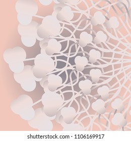 White flowers on peach background