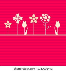 White flowers on pink background