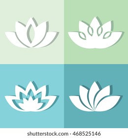 White flowers on soft background with shadow. Elegant nature elements. Vector illustration