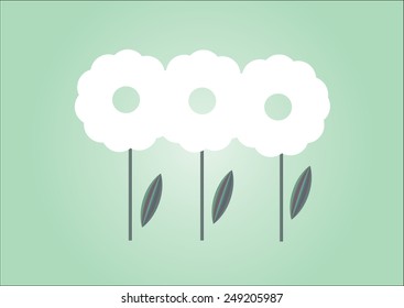 white flowers on a turquoise background