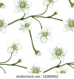 White Flowers on Twig Seamless Pattern. Blooming sprigs seamless background. Vector EPS8. No effects.