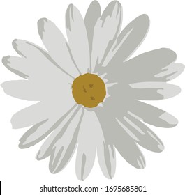 White flowers. Only flowers. Daisy. Without background. Vector image