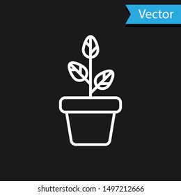 White Flowers in pot icon isolated on black background. Plant growing in a pot. Potted plant sign.  Vector Illustration
