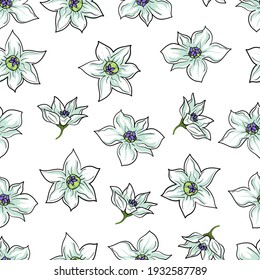 White flowers seamless background. Spring, flowering, spring mood. Hand-drawn flowers in the style of watercolors or pastels. In soft pastel colors.