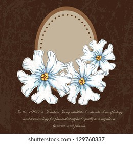 White flowers set, on brown background. Vector illustration