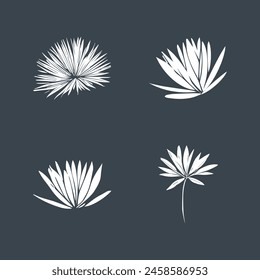 white flowers set vector illustration 