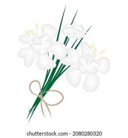white flowers spring flower isolated on white background Vector illustration