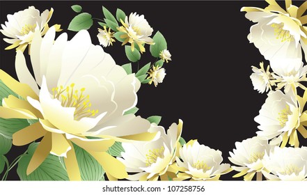 white flowers (the vector of the plant)