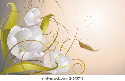 White flowers tulips