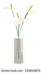 White flowers in vase. Peace lily green branches