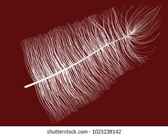 White Fluff on Red Background. Beautiful Hand Drawn Feathers Isolated. Fluff for Wallpaper, Illustration, Carnival, Masquerade, Invitation, Paper, Textile. Decoration Element for Your Design.
