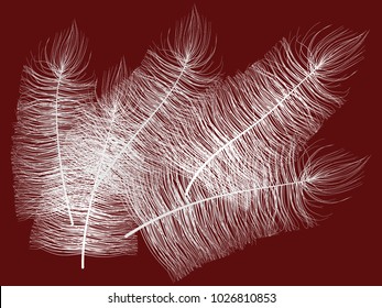 White Fluff on Red Background. Beautiful Hand Drawn Feathers Isolated. Fluff for Wallpaper, Illustration, Carnival, Masquerade, Invitation, Paper, Textile. Decoration Element for Your Design.