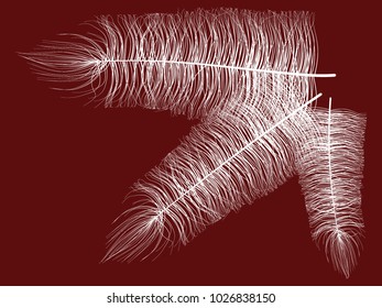 White Fluff on Red Background. Beautiful Hand Drawn Feathers Isolated. Fluff for Wallpaper, Illustration, Carnival, Masquerade, Invitation, Paper, Textile. Decoration Element for Your Design.