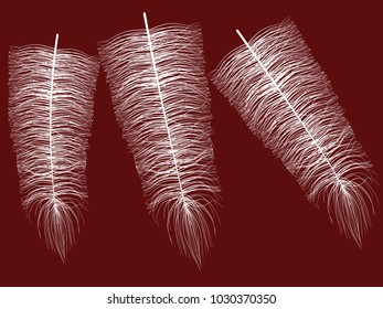 White Fluff on Red Background. Beautiful Hand Drawn Feathers Isolated. Fluff for Wallpaper, Illustration, Carnival, Masquerade, Invitation, Paper, Textile. Decoration Element for Your Design.