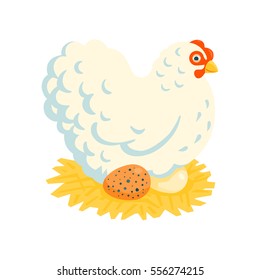 White fluffy broody chicken on a nest vector illustration cartoon style