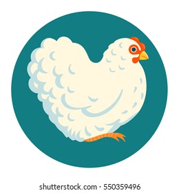 White fluffy chicken vector illustration 