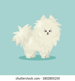 White fluffy cute cartoon happy isolated vector flat dog on blue or green background