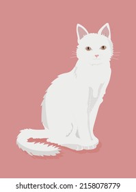 White fluffy cute cat on a pink background