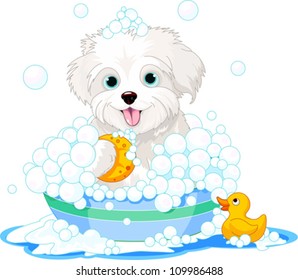 White fluffy dog having a soapy bath