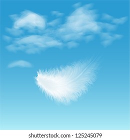 white fluffy feather on background of blue sky