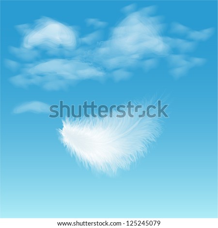 white fluffy feather on background of blue sky