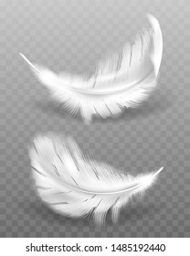 White fluffy feather with shadow vector realistic set isolated on transparent background. Feathers from wings of birds or angel, symbol of softness and purity, design element