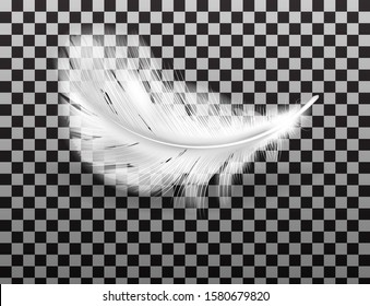 White fluffy feather with shadow vector realistic isolated on transparent background. Feathers from wings of birds or angel, symbol of softness and purity, design element