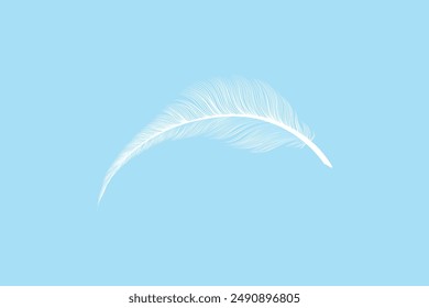 White fluffy feathers realistic transparent effect design editable background