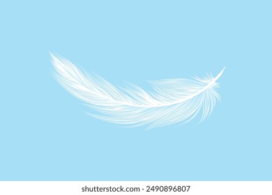 Plumas suaves blancas diseño de efecto transparente realista fondo editable