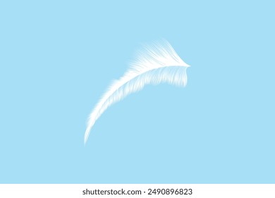 Plumas suaves blancas diseño de efecto transparente realista fondo editable