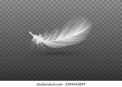 White fluffy feathers realistic transparent design effect editable