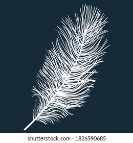 Weiße, flauschige helle Feder einzeln auf dunklem Hintergrund. Realistische, handgezeichnete Vektorgrafik