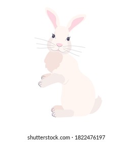 A white fluffy rabbit sits on its hind legs. Cute Bunny for an Easter card. Design for the mid-autumn holiday. Isolated on a white background.