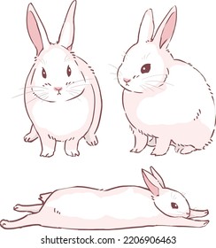 White fluffy rabbit stretches out
