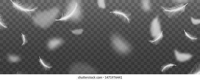 White Flying Bird Feather Pattern On Dark Background. Realistic 3d Vector Illustration Of Falling Dove Feathers Texture Or Elegant Soft Plume Backdrop