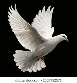 White flying dove on black background