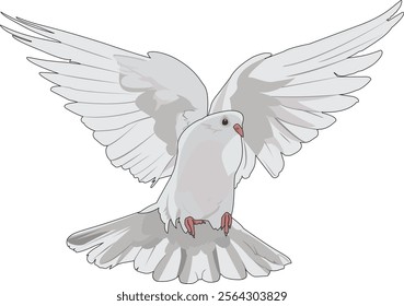 White flying dove symbol of peace vector