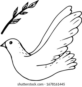 White flying dove and twig leaves, biblical story, black and white vector illustration
