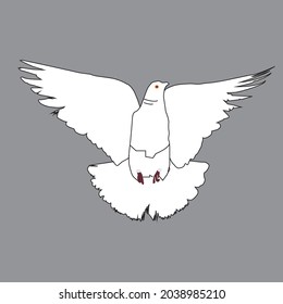 white flying pigeon for logo or any commercial use