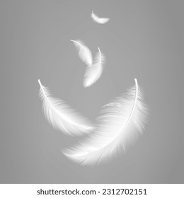 White flying realistic feathers. Bird feather composition, lightness effect of pillows or air. Vector decorative graphic elements