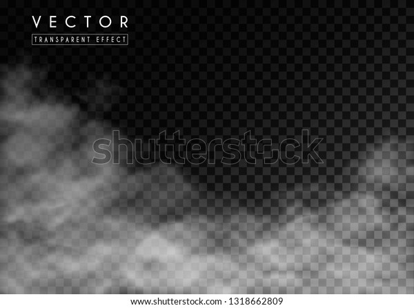 透明背景上的白雾 云或烟雾 矢量效应雾和烟雾库存矢量图 免版税