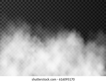 White fog isolated on dark transparent background.  Steam special effect.  Realistic  fire smoke  or mist  vector texture .