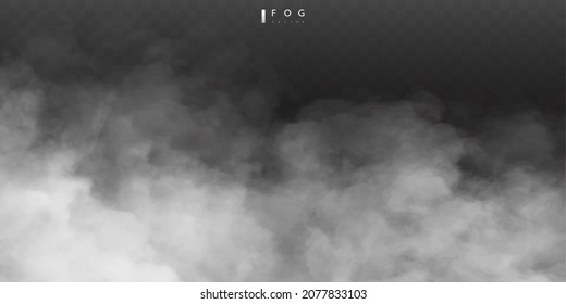 White fog or smok. Realistic fog. Atmosphere mist effect and smoke clouds isolated on transparent background. Vector abstract cloud texture