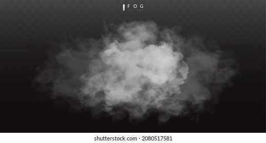 Niebla blanca o humo. Niebla realista. Efecto nebuloso de la atmósfera y nubes de humo aisladas en un fondo transparente. textura de nube abstracta vectorial